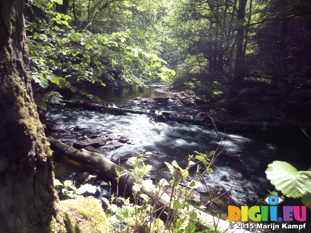 FZ017021 River by Burg Eltz